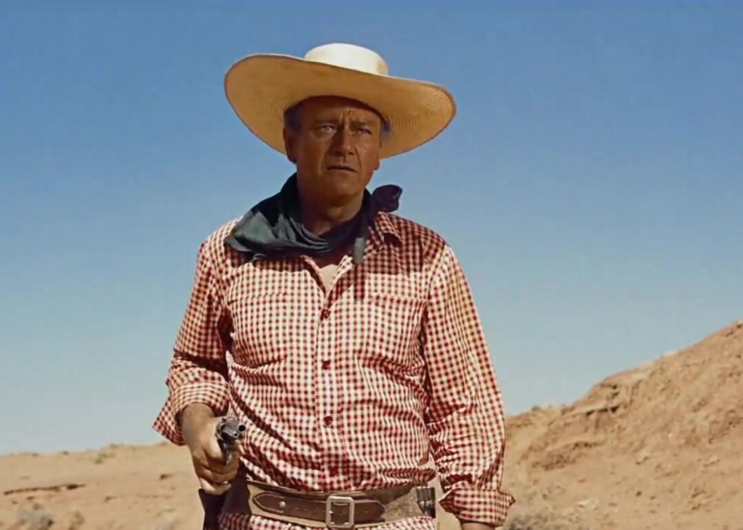 #66. The Searchers (1956)